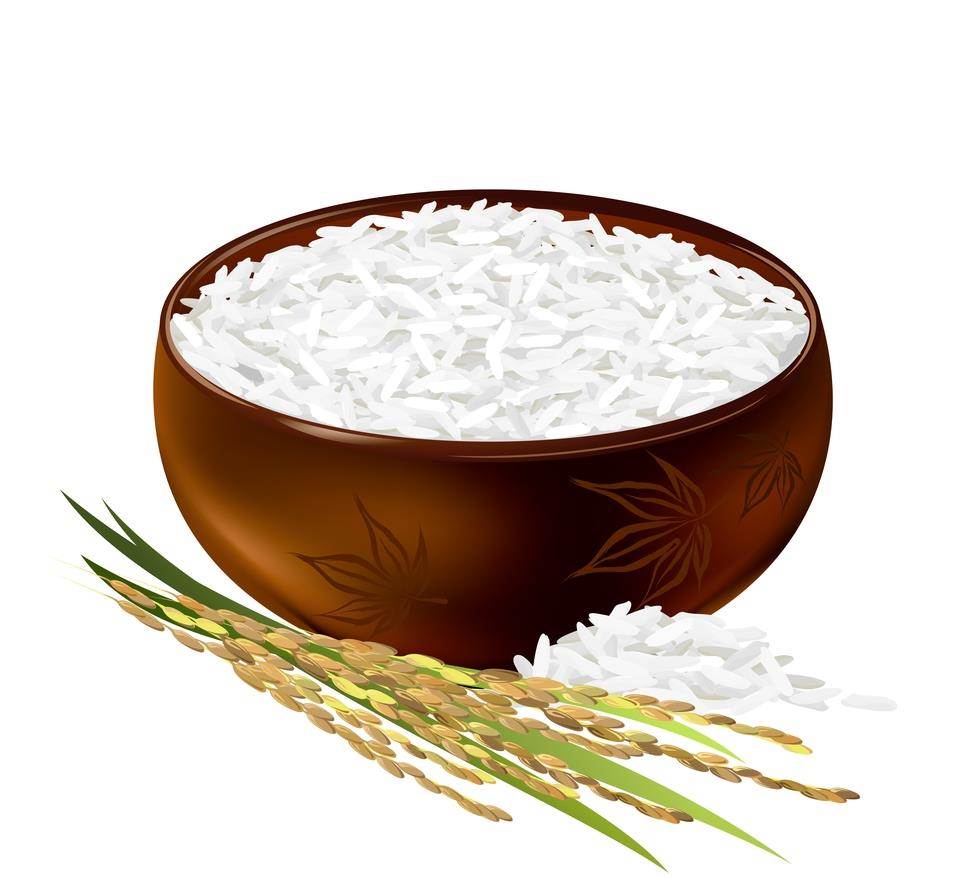 Rice In Javascript Example Helios 2 | Page